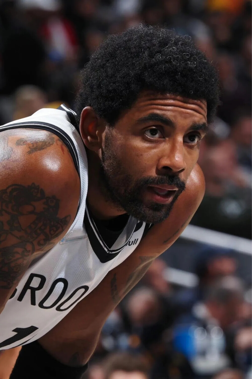 话里可以看 话里可以看